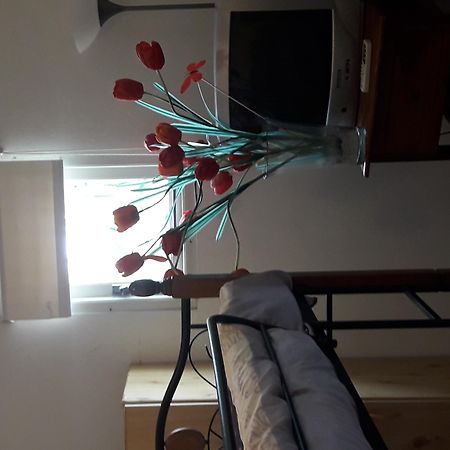 Palmita Hotel Hostel Οράνχεσταντ Εξωτερικό φωτογραφία
