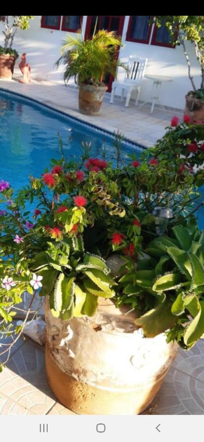 Palmita Hotel Hostel Οράνχεσταντ Εξωτερικό φωτογραφία