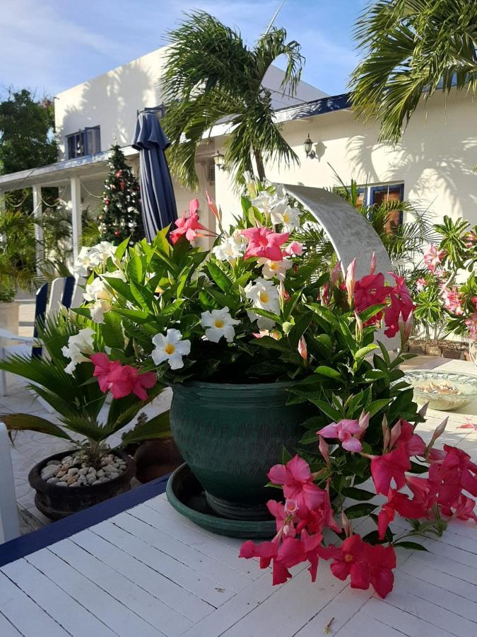 Palmita Hotel Hostel Οράνχεσταντ Εξωτερικό φωτογραφία