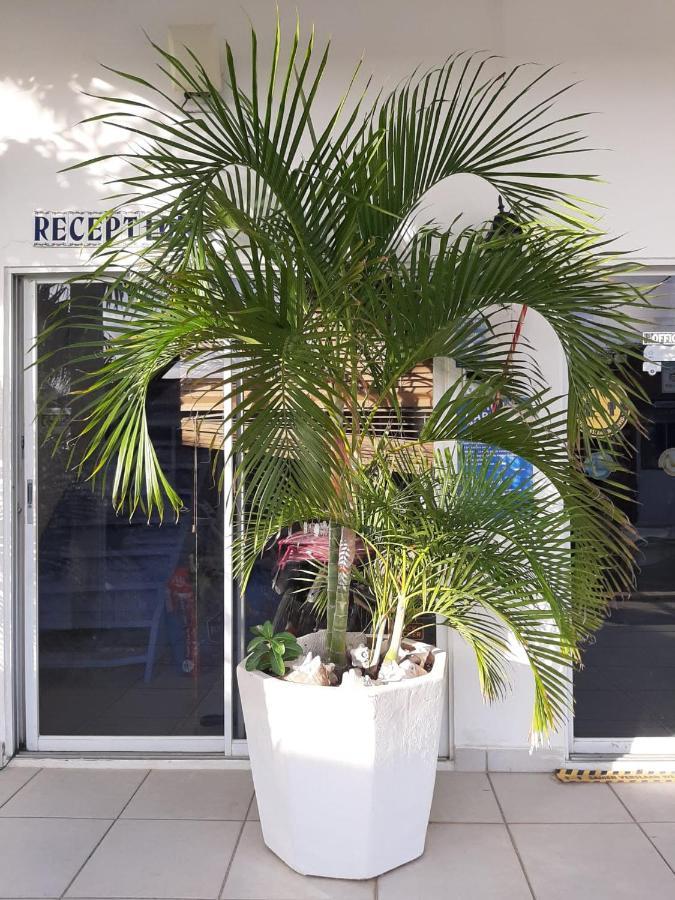 Palmita Hotel Hostel Οράνχεσταντ Εξωτερικό φωτογραφία