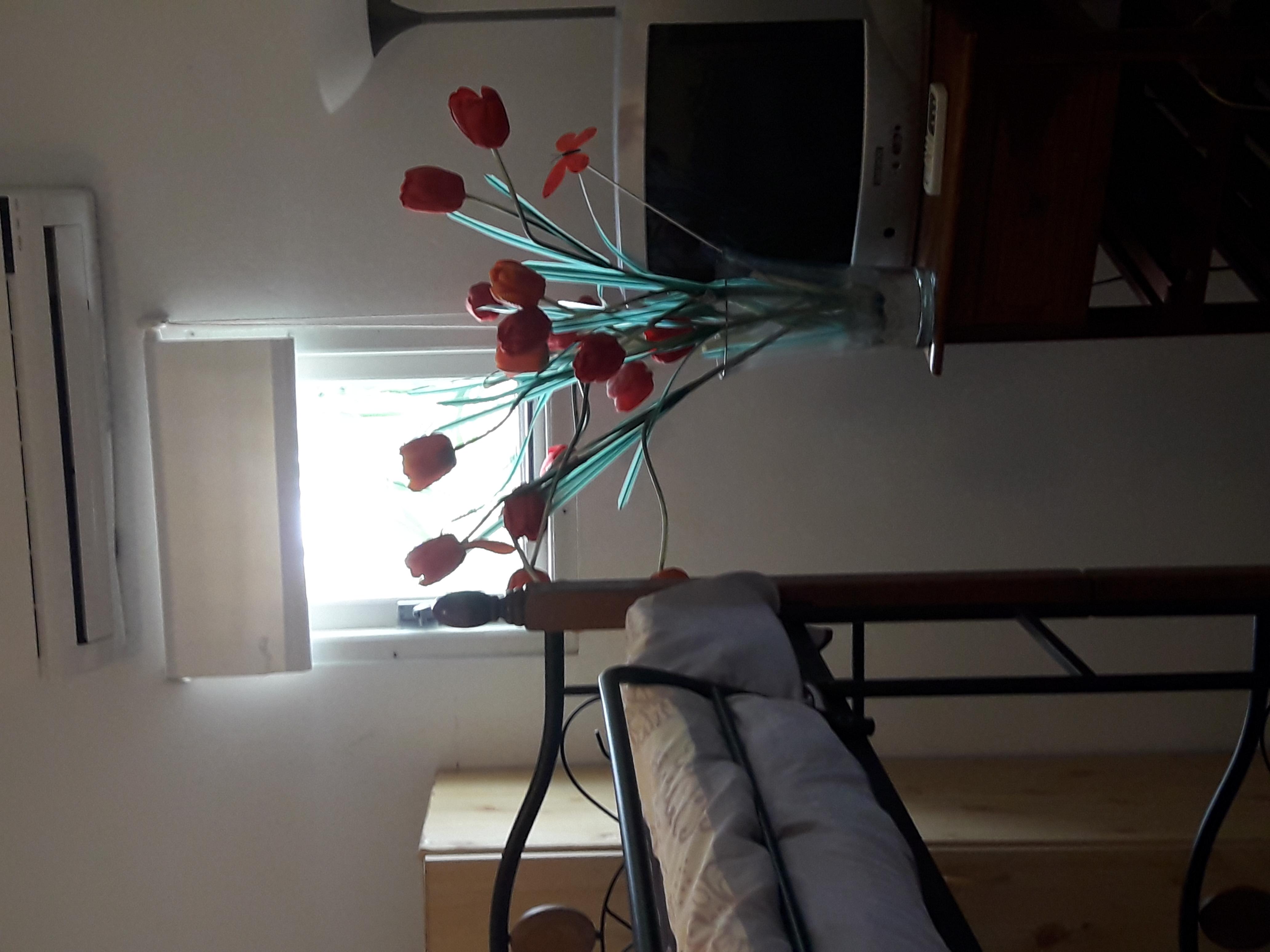 Palmita Hotel Hostel Οράνχεσταντ Εξωτερικό φωτογραφία