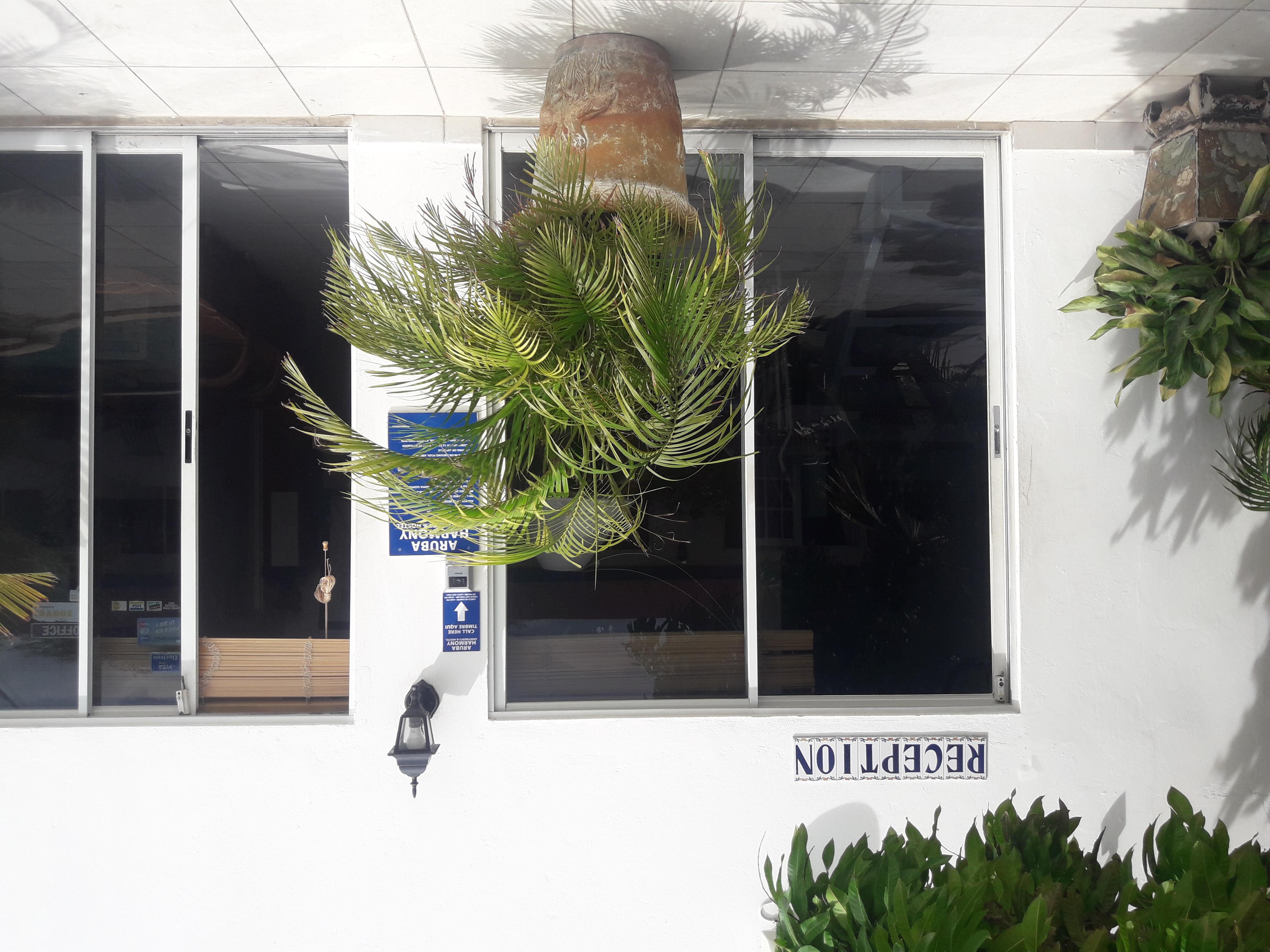 Palmita Hotel Hostel Οράνχεσταντ Εξωτερικό φωτογραφία