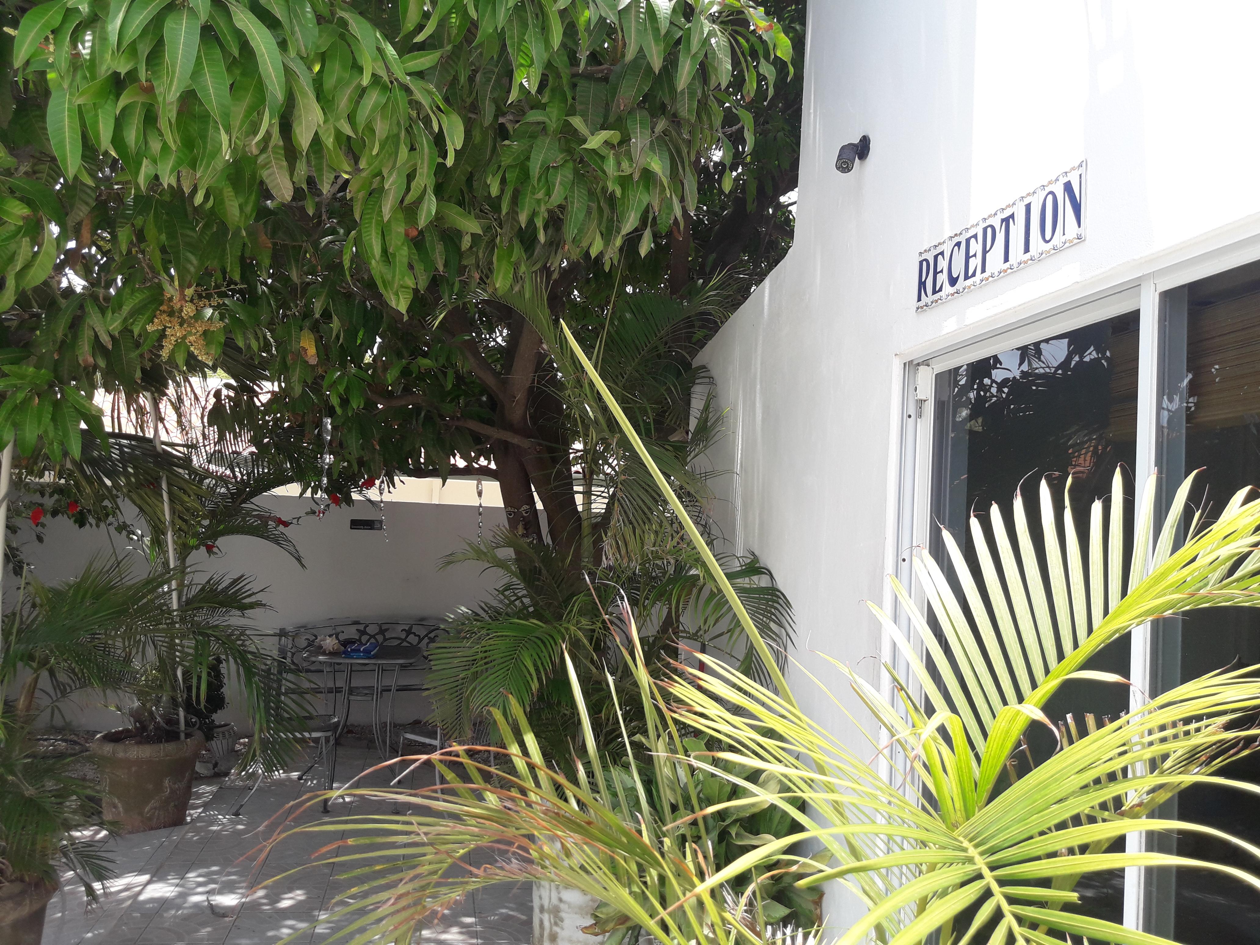 Palmita Hotel Hostel Οράνχεσταντ Εξωτερικό φωτογραφία