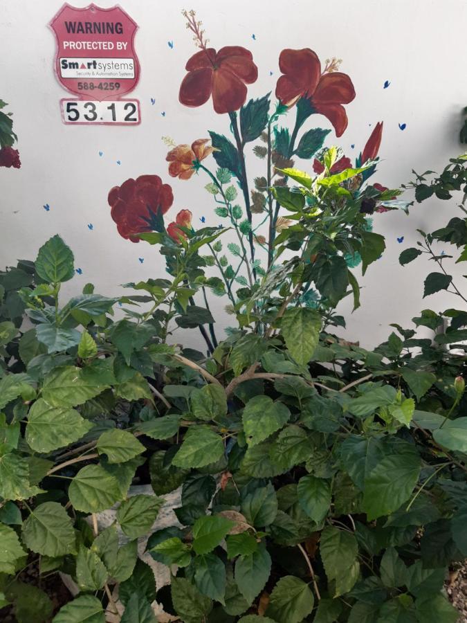 Palmita Hotel Hostel Οράνχεσταντ Εξωτερικό φωτογραφία